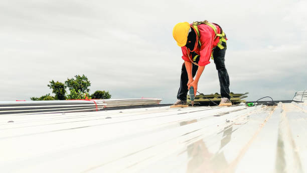 Best Metal Roofing Installation  in Lasalle, IL