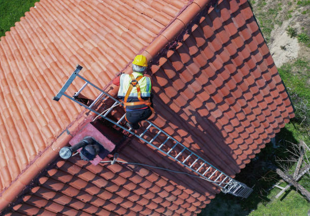Best Roof Ventilation Installation  in Lasalle, IL