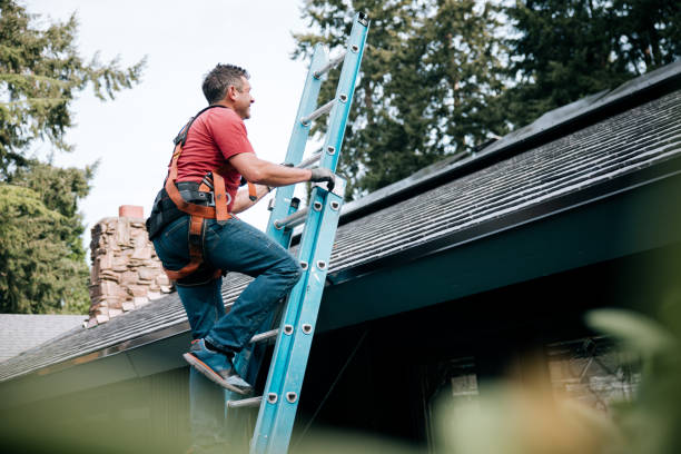 Best Green or Eco-Friendly Roofing Solutions  in Lasalle, IL